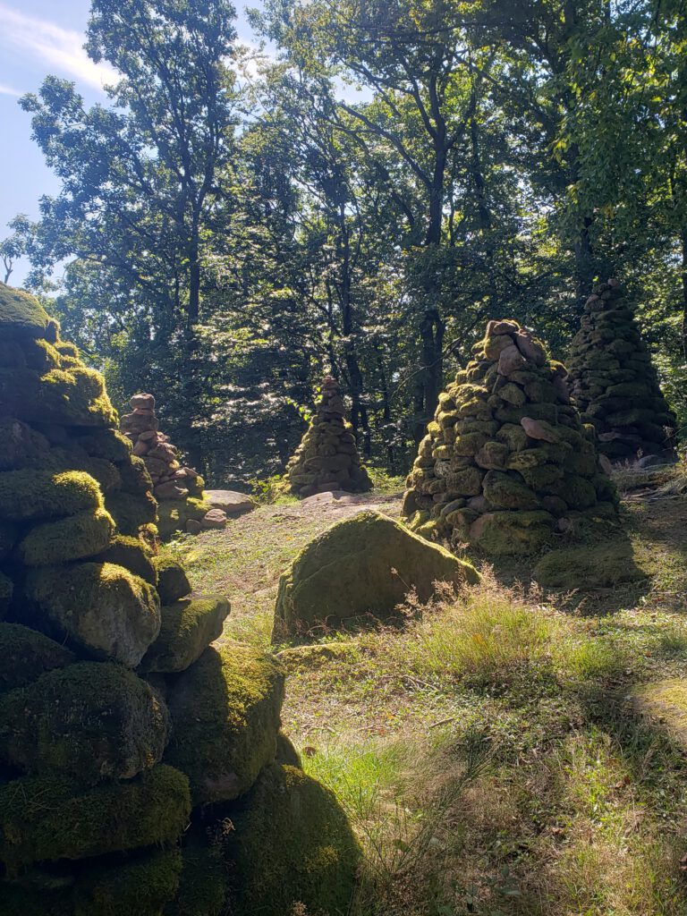 Auf dem Holzschuhpfad